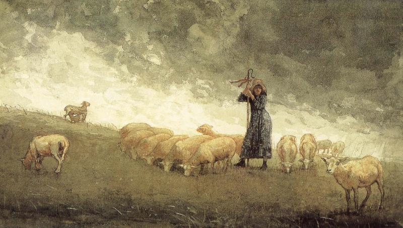 Winslow Homer Shepherdess still control the sheep china oil painting image